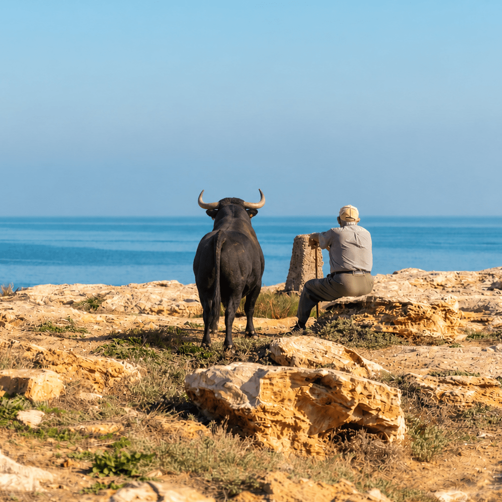 Historia de El Toro Azul