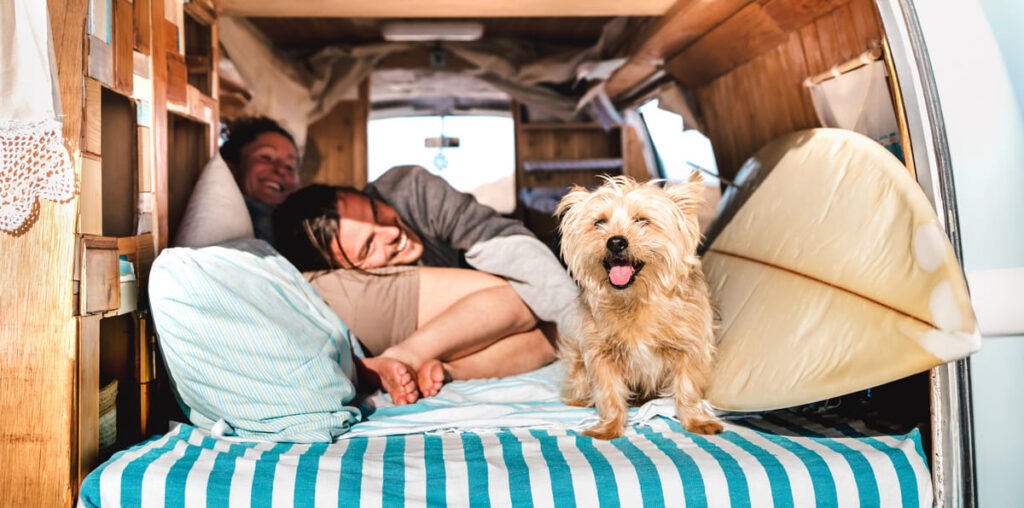 Camping pet friendly en Cataluña